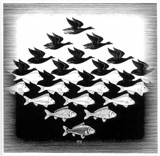 Op Art Revealed: the Hypnotic Magic of Visual Deception