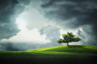 6 Tips for Painting Clouds