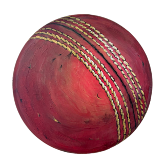 The Winners Ball - Cricket Ball Painting