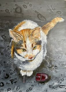 Mouse Catcher