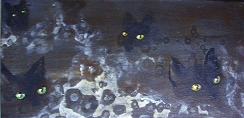 Black Cat Night I: Pet Portrait