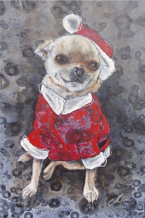 chihuahua in a sanat outfit