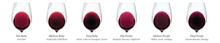 colours of red wine for burgundy colour reference