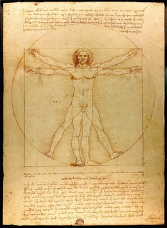 Leonardo, anatomy and the Vitruvian man....