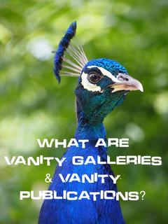 What are Vanity Galleries and Vanity Publications