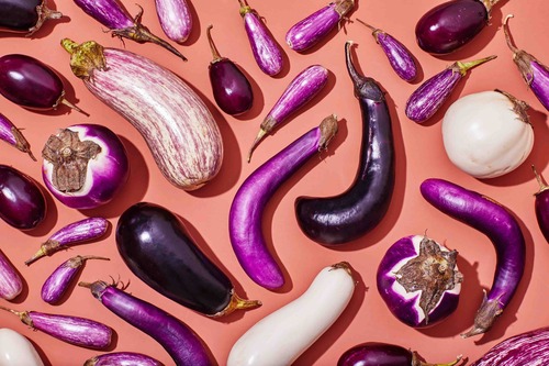 different types of purple coloured eggplants