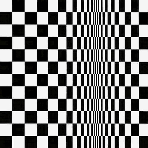 Movement in Squares op art by Bridget Riley