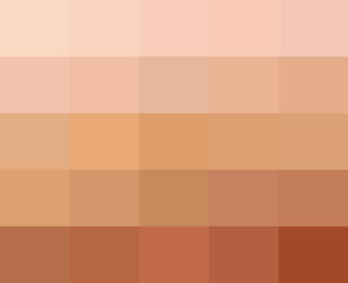 Skin colour palette
