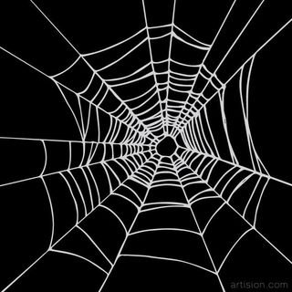 The Art of Spiderwebs