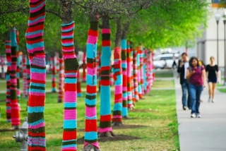 trees with yarn bombing knitting on trunks
