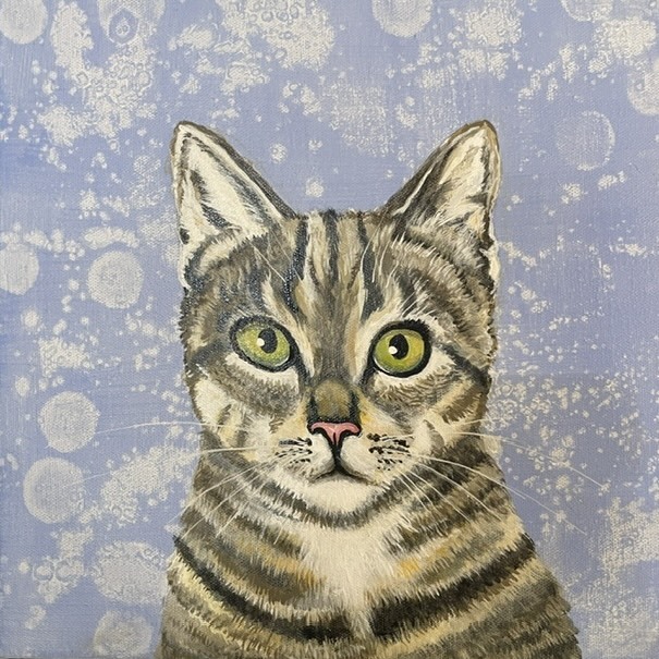 Cheetah the curious kitten, a pet portrait of a tabby by New Zealand artist Collette Fergus