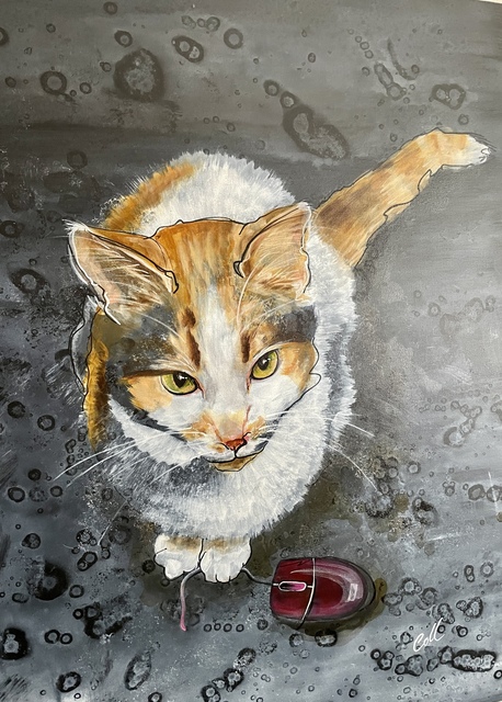 pet portrait of a ginger and white cat looking up