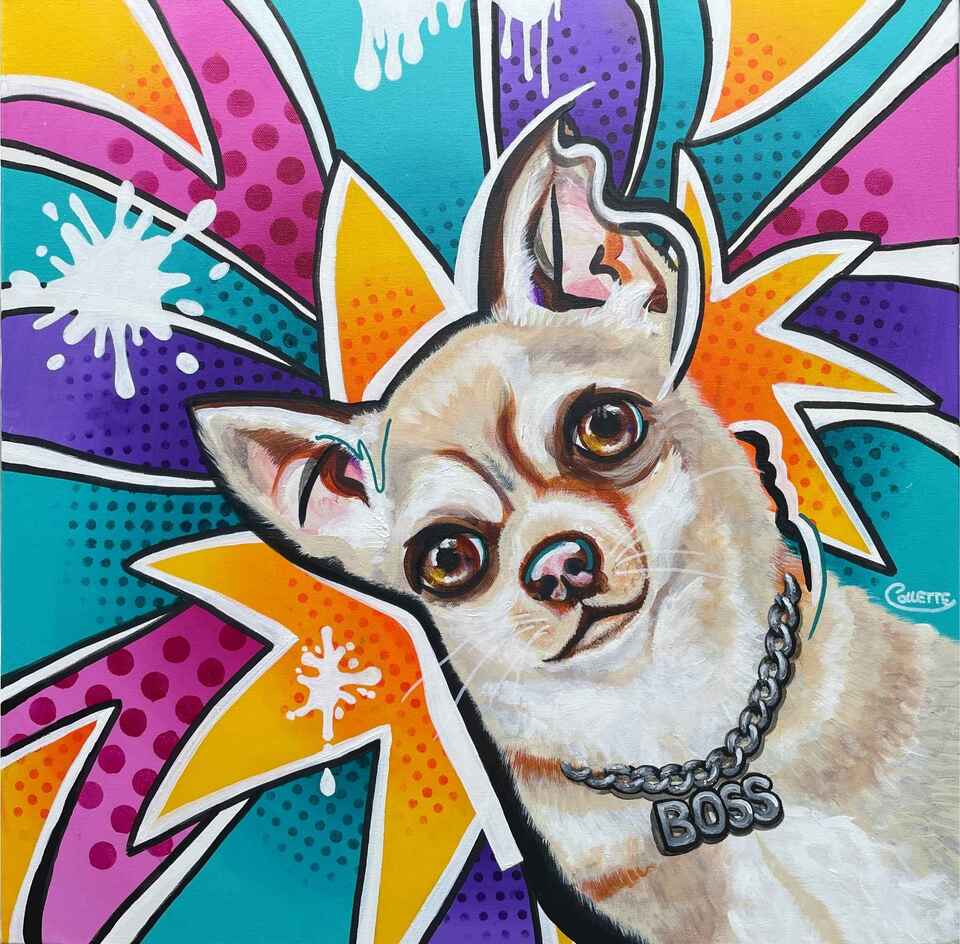 NZ Pet Portrait of a Chihuahua by nz pet portrait artist Collette Fergus