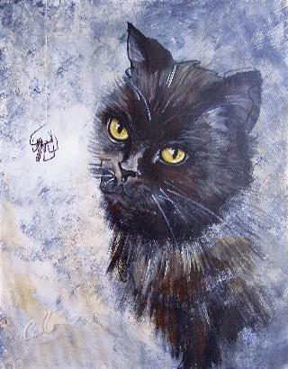 Spider and cat pet portrait by Collette Fergus