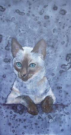 Siamese Cat pet portrait by Collette Fergus
