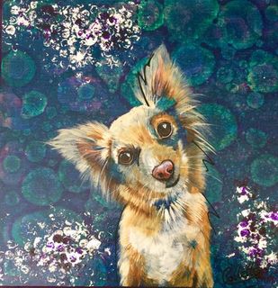 Chihuahua Dog Pet Portrait