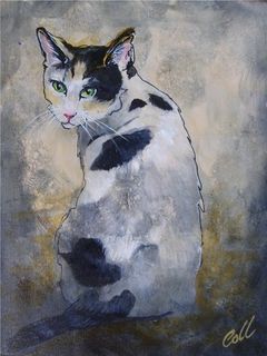 Nonchalance: NZ Pet Portrait