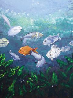 Aquatic NZ - New Zealand Wall Art