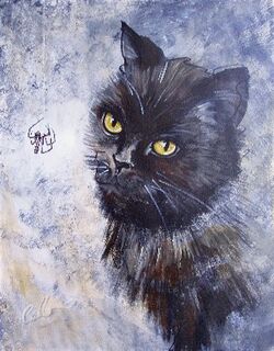 The Spider: Pet Portrait